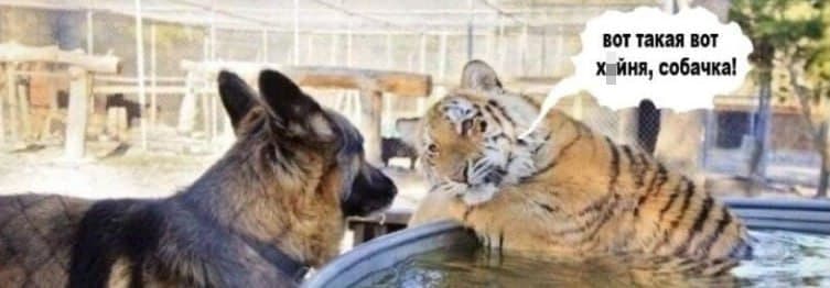 Strait of Hormuz map